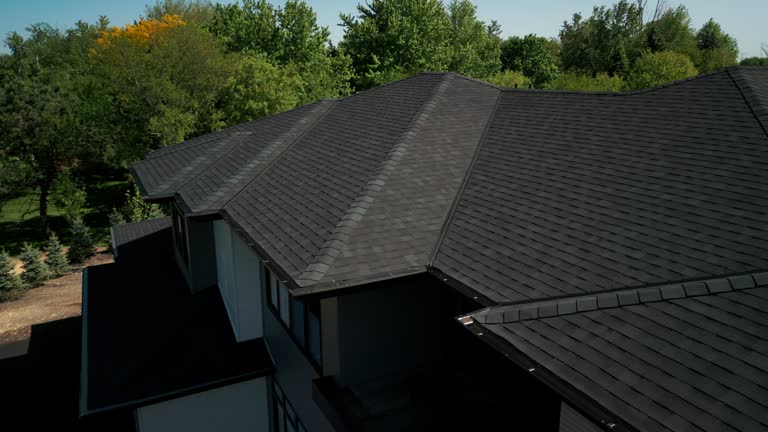 Best Roof Maintenance and Cleaning  in Vienna, VA